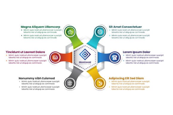 Hexagon Cycle Infographic: A Designer's Real-World Review